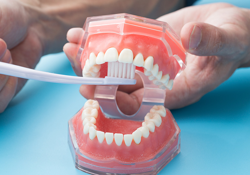 歯磨き指導を受けることが歯周病治療の第一歩です